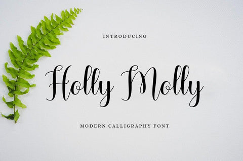 Holly Molly Font WsStudio 