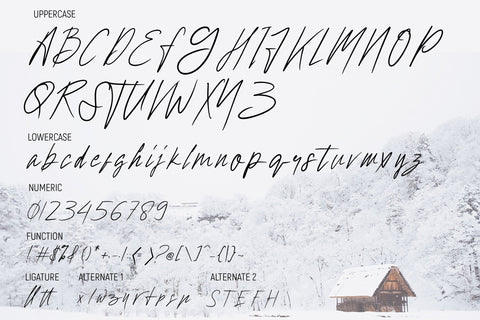 Hollywise - Signature Script Font Font StringLabs 