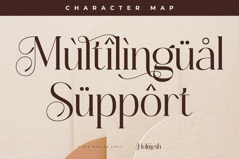 Holmesh Typeface Font Storytype Studio 