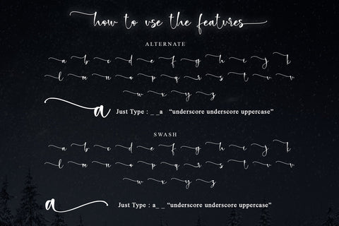 Holy Christmas Eve Font Letterara 