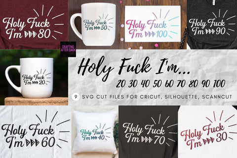 Holy Fuck I'm 20 30 40 50 60 70 80 90 100 Adult Birthday SVG Design Bundle | So Fontsy SVG Crafting After Dark 