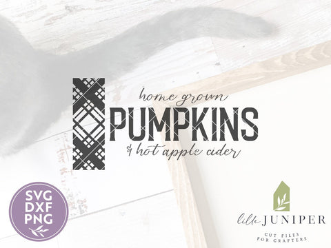Home Grown Pumpkins SVG | Autumn SVG | Farmhouse Sign Design SVG LilleJuniper 