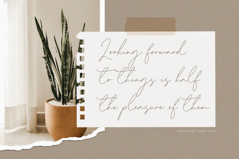 Homeland - Handwritten script Font Font Timur type 