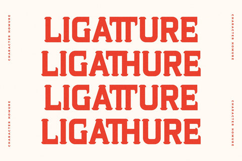 Homure Typeface Font Storytype Studio 