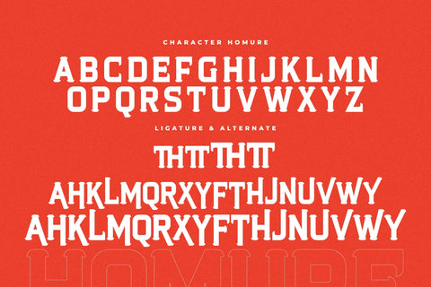 Homure Typeface Font Storytype Studio 