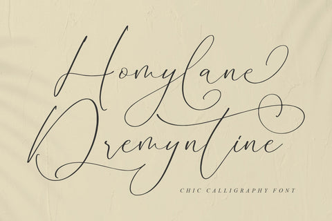 Homylane Dremyntine - Chic Calligraphy Font Font Storytype Studio 