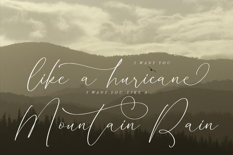 Homylane Dremyntine - Chic Calligraphy Font Font Storytype Studio 