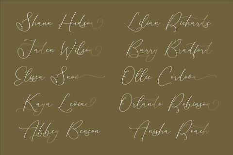 Homylane Dremyntine - Chic Calligraphy Font Font Storytype Studio 