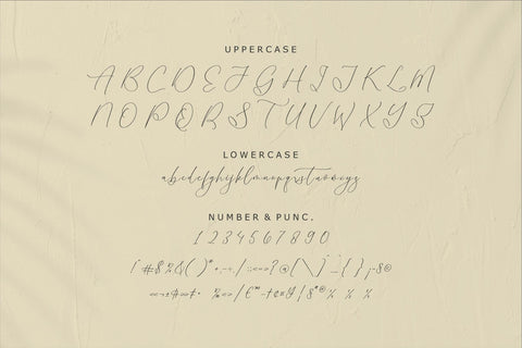 Homylane Dremyntine - Chic Calligraphy Font Font Storytype Studio 