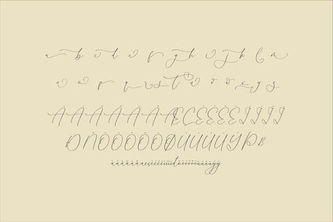 Homylane Dremyntine - Chic Calligraphy Font Font Storytype Studio 