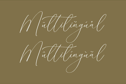 Homylane Dremyntine - Chic Calligraphy Font Font Storytype Studio 