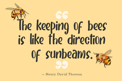 Honey Candy Font Madatype Studio 