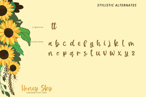 Honey Sky-Handwritten Font Font yumnatype 