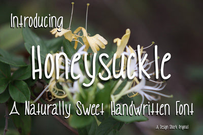 Honeysuckle Font Design Shark