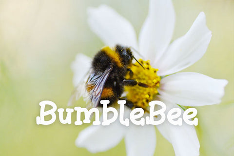 Honzo Font twinletter 