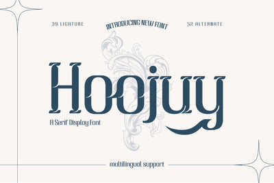 Hoojuy | Serif Classic Modernism Font twinletter 
