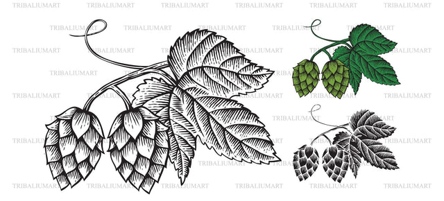 Hops (beer design) SVG TribaliumArtSF 