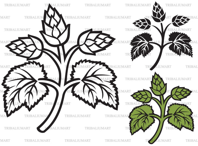 Hops (beer design) SVG TribaliumArtSF 