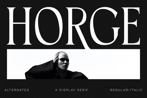 Horge Typeface Font Storytype Studio 