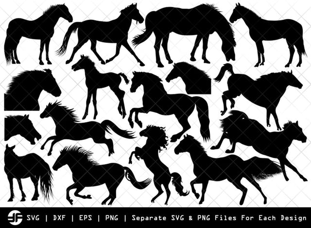 Horse SVG | Animal SVG | Silhouette Bundle | SVG Cut File SVG ETC Craft 