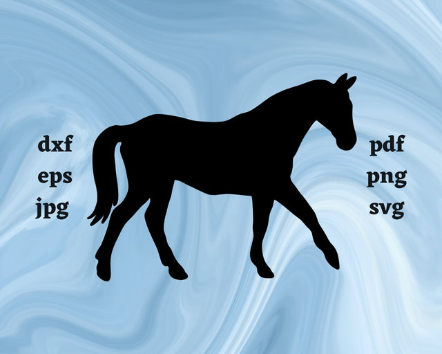 Horse SVG Cut File SVG Northern Light SVG 