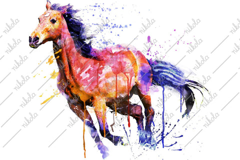 Horse Watercolor Sublimation Clipart PNG JPG Sublimation nikola 