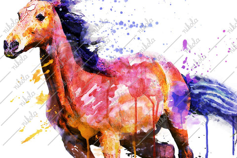 Horse Watercolor Sublimation Clipart PNG JPG Sublimation nikola 