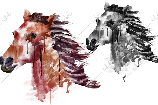 Horse Watercolor Sublimation Clipart PNG JPG Sublimation nikola 