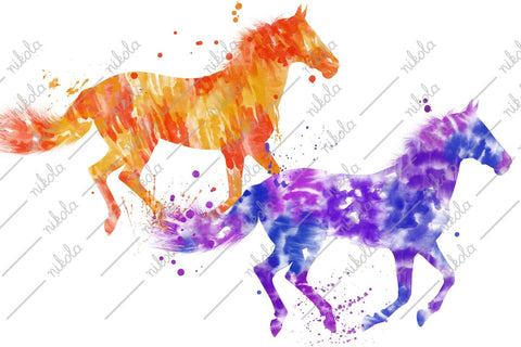 Horse Watercolor Sublimation Clipart PNG Sublimation nikola 