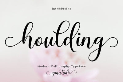Houlding Script Font Zane Studio55 