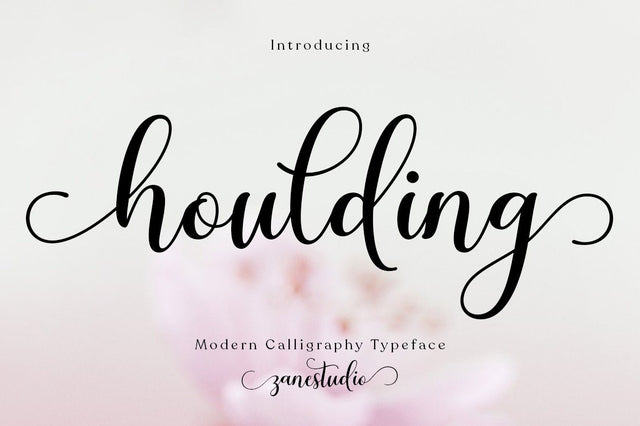 Houlding Script Font Zane Studio55 