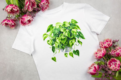 Houseplants in Pot Sublimation Sublimation Regulrcrative 