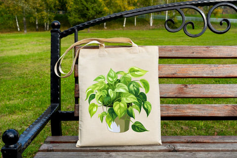 Houseplants in Pot Sublimation Sublimation Regulrcrative 