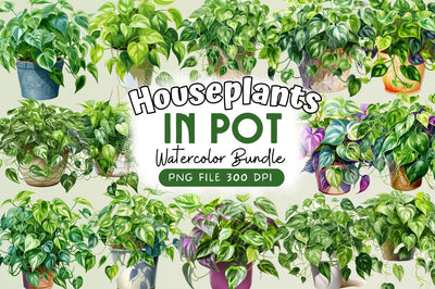 Houseplants in Pot Sublimation Sublimation Regulrcrative 