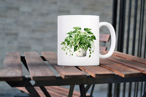 Houseplants Pot Sublimation Bundle Sublimation Regulrcrative 