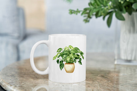 Houseplants Pot Sublimation Bundle Sublimation Regulrcrative 