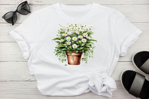 Houseplants Pot Sublimation Bundle Sublimation Regulrcrative 