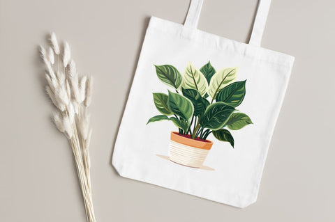 Houseplants Pot Sublimation Bundle Sublimation Regulrcrative 