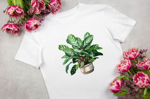 Houseplants Pot Sublimation Bundle Sublimation Regulrcrative 