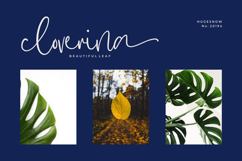 Hugesnow – Signature Font Font Good Java 