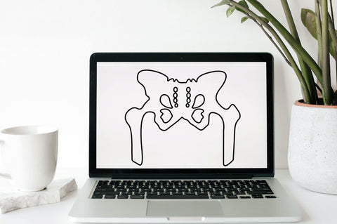 Human Bone SVG Bundle SVG Regulrcrative 