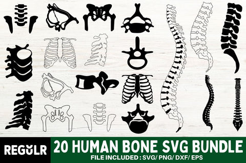 Human Bone SVG Bundle SVG Regulrcrative 
