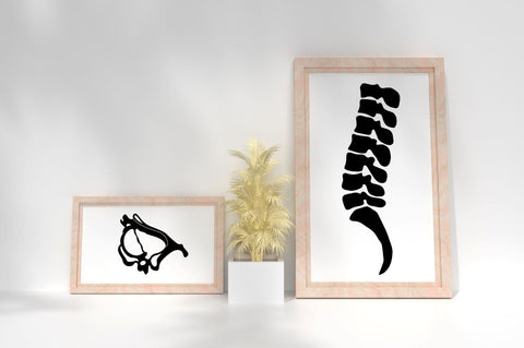 Human Bone SVG Bundle SVG Regulrcrative 