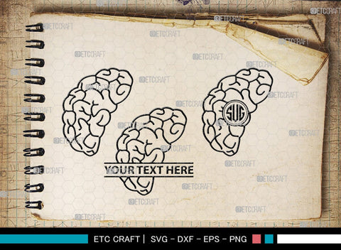 Human Brain Monogram, Human Brain Silhouette, Human Brain SVG, Outline Brain Svg, Brain Svg, Brain Organ Svg, Brain Svg, SB00145 SVG ETC Craft 