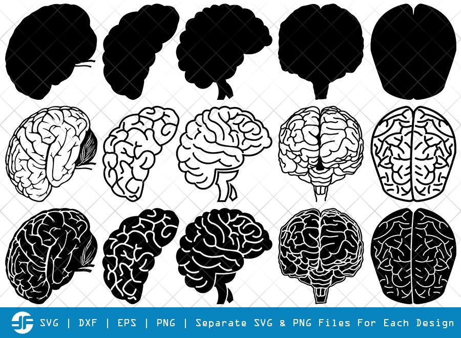 Human Brain SVG Cut Files | Brain Organ Silhouette Bundle - So Fontsy