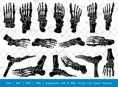 Human Foot Anatomy Silhouette, Human Foot Anatomy SVG, Foot Anatomy Svg, Foot Bones Svg, Foot Anatomy Bundle, SB00804 SVG ETC Craft 