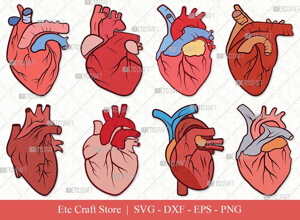 SWEETHEART Anatomical Heart Tattoo Artwork Prints – Geltchy
