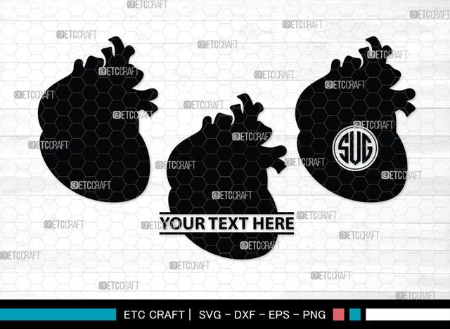 Human Heart Monogram, Human Heart Silhouette, Human Heart SVG, Heart Svg, Anatomical Heart Svg, Medical Svg, Heart Bundle, SB00147 SVG ETC Craft 