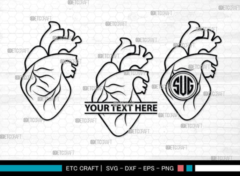 Human Heart Monogram, Human Heart Silhouette, Human Heart SVG, Heart Svg, Anatomical Heart Svg, Medical Svg, Heart Bundle, SB00147 SVG ETC Craft 