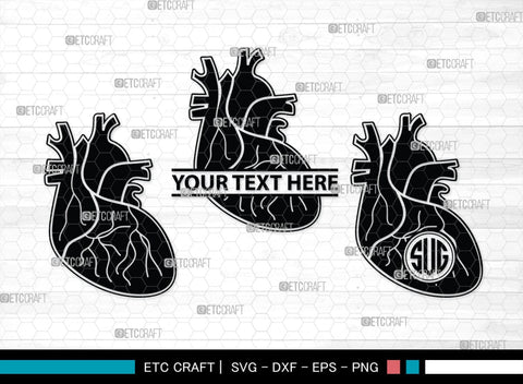 Human Heart Monogram, Human Heart Silhouette, Human Heart SVG, Heart Svg, Anatomical Heart Svg, Medical Svg, Heart Bundle, SB00147 SVG ETC Craft 